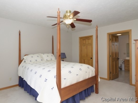 17 Spring Street Riverton, IL 62561 - Photo 13 of 24 Gallery Image 13