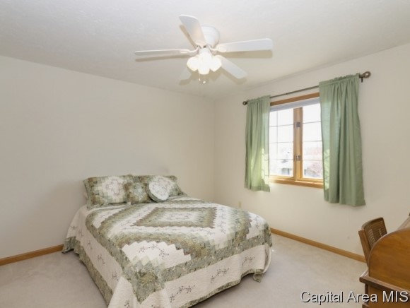 17 Spring Street Riverton, IL 62561 - Photo 14 of 24 Gallery Image 14