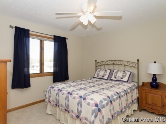 17 Spring Street Riverton, IL 62561 - Photo 15 of 24 Gallery Image 15