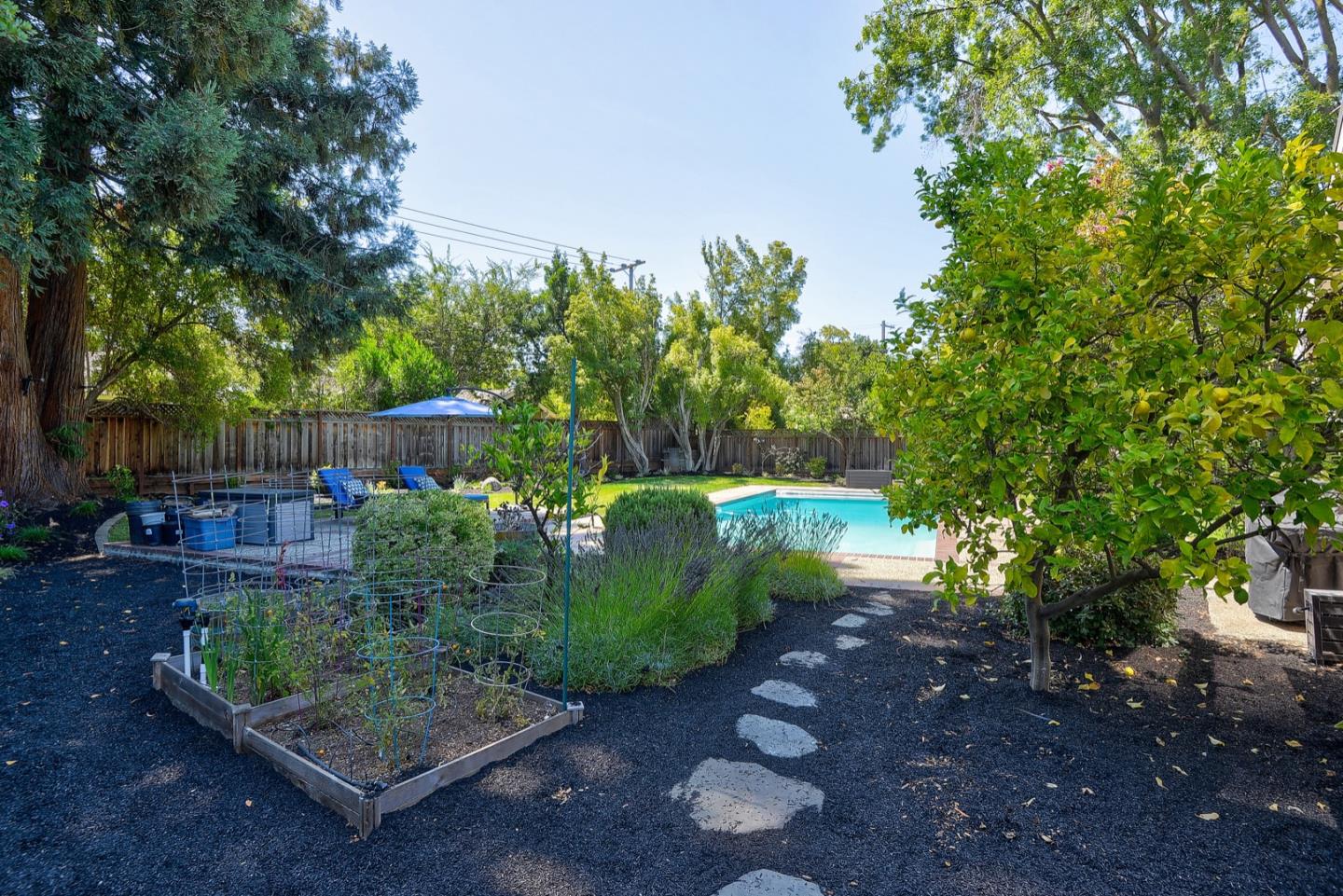 714 Arroyo Road Los Altos, CA 94024 - Photo 38 of 42 a view of a garden with plants