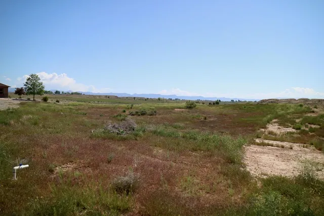 a view of a field with an ocean