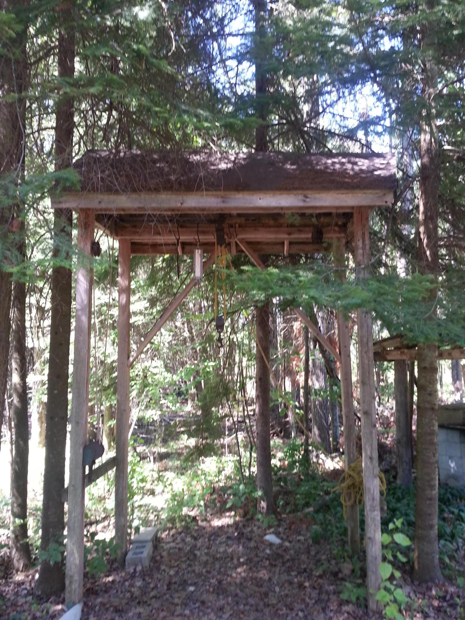 6088 Ratz Road Hubbard Lake, MI 49747 - Photo 16 of 35 Gallery Image 16