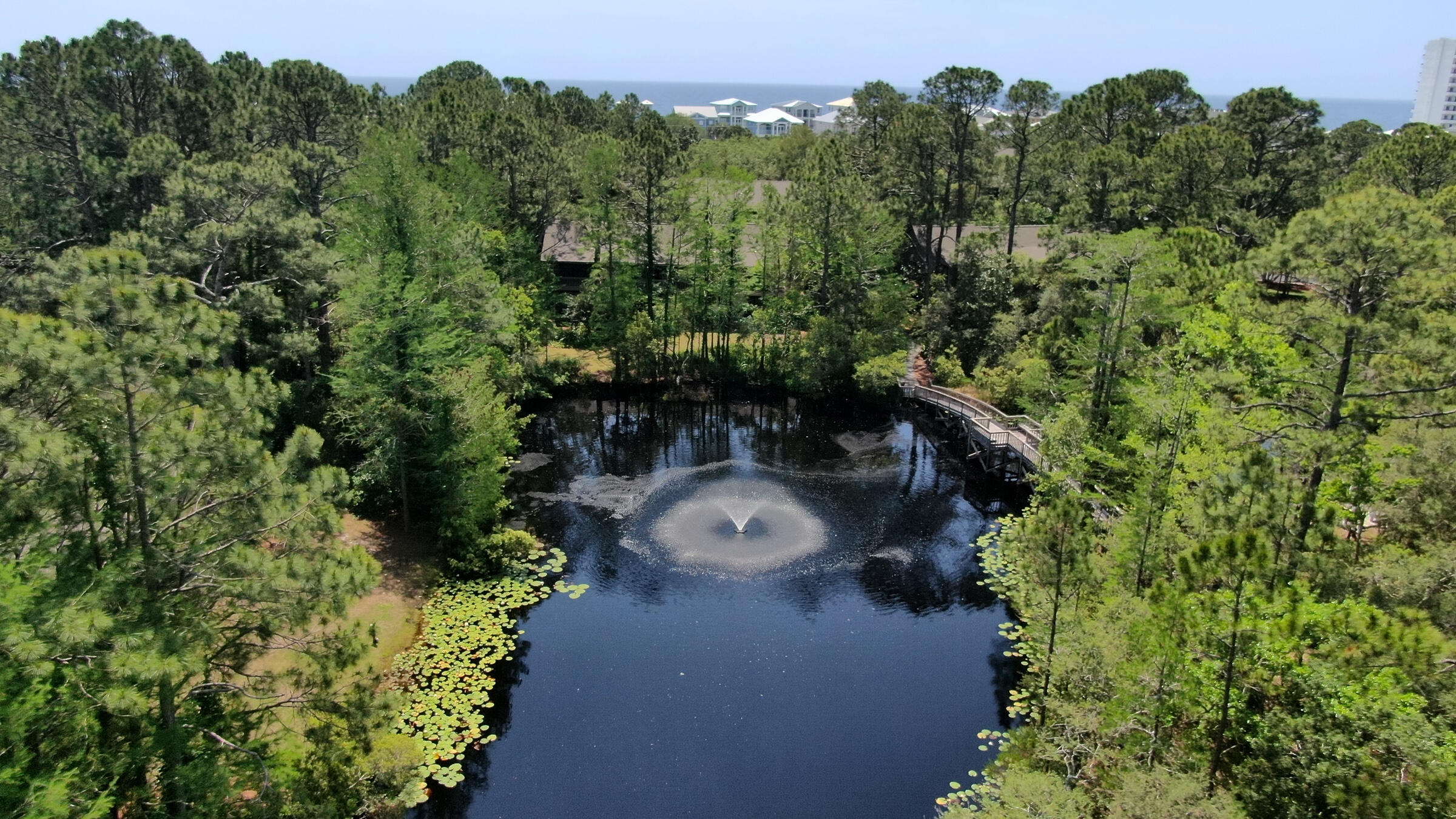 51 Cypress Street, Unit 275 Santa Rosa Beach, FL 32459 - Photo 33 of 37 an aerial view of a house with a yard and garden
