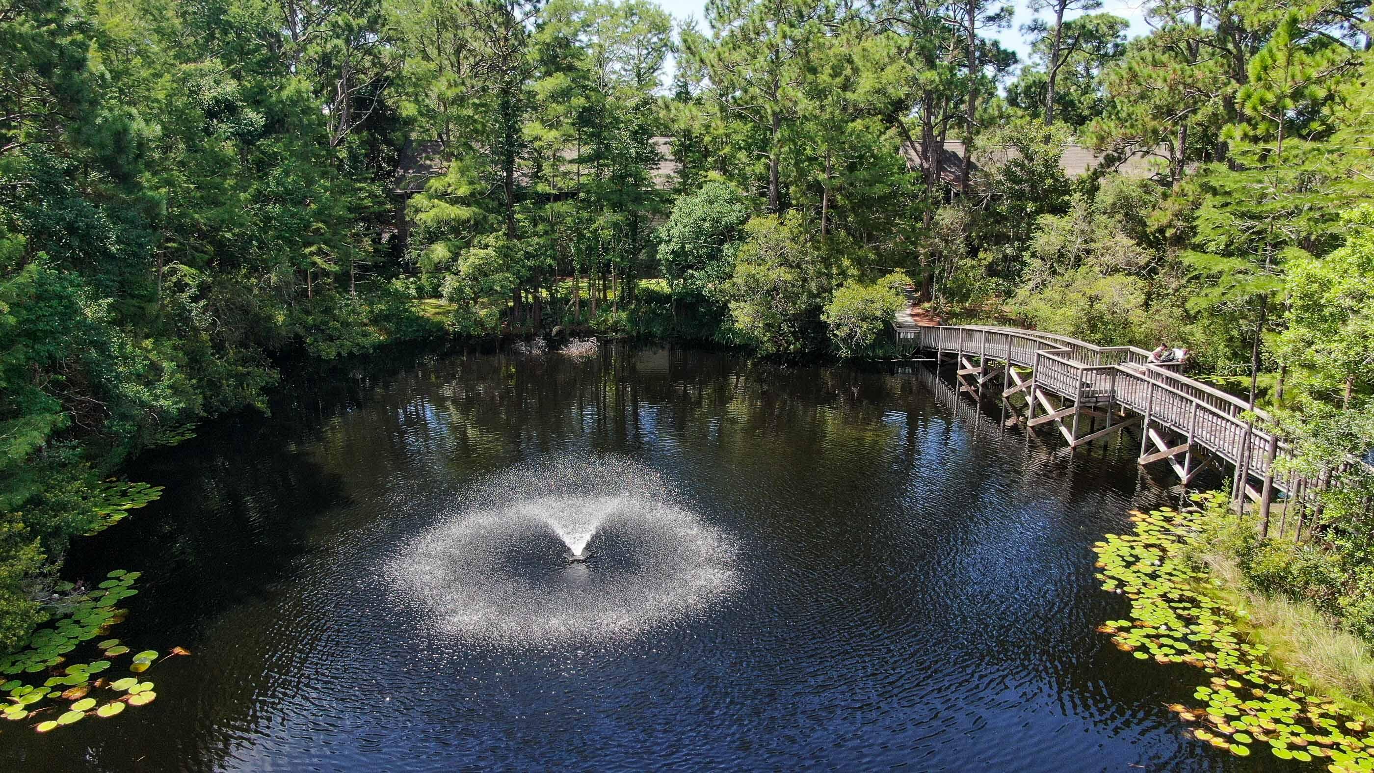 51 Cypress Street, Unit 275 Santa Rosa Beach, FL 32459 - Photo 35 of 37 a view of a lake with a yard