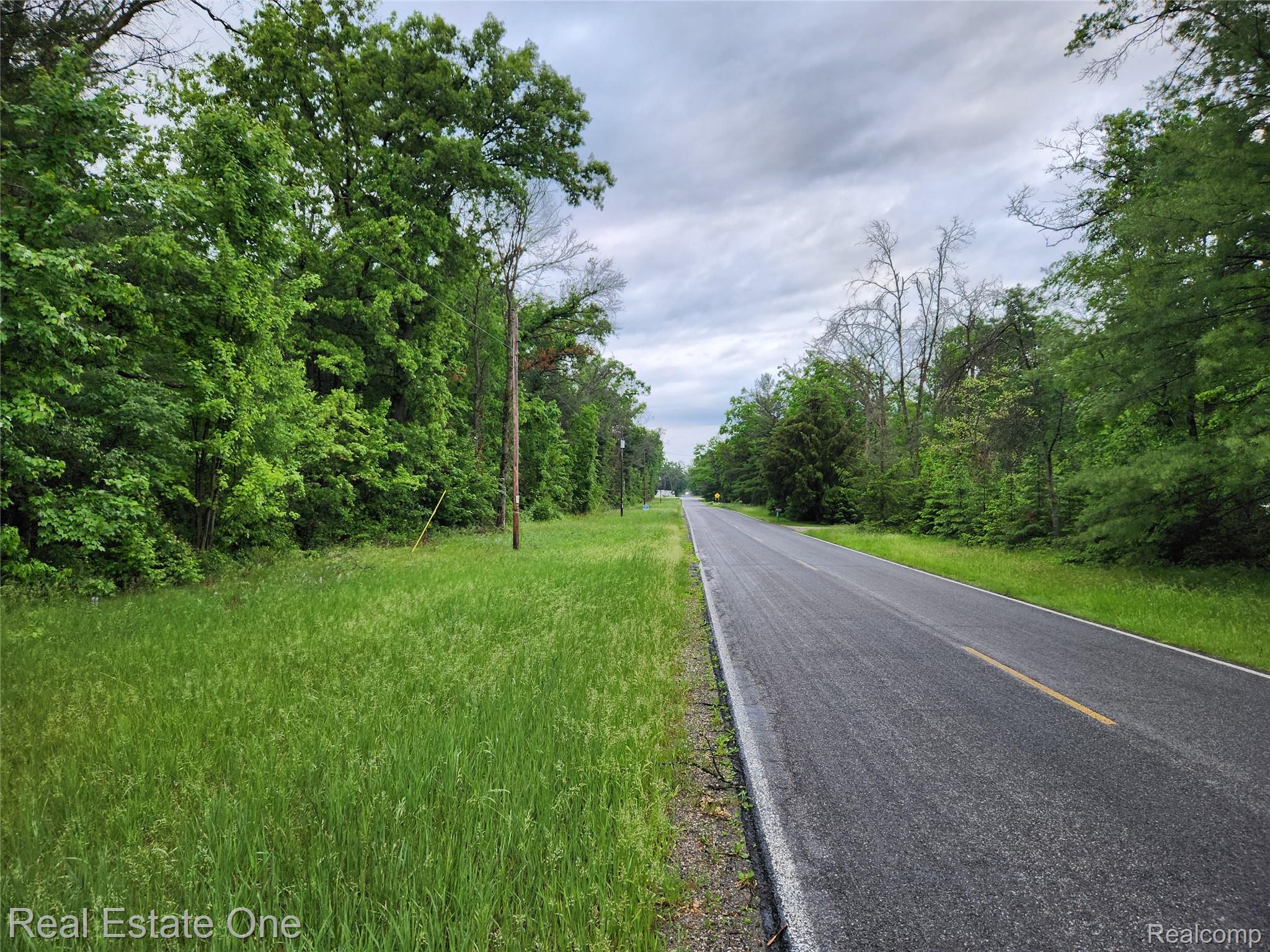 0 West Almy Road Howard City, MI 49329 - Photo 2 of 10 20240526_201734 (1).jpg