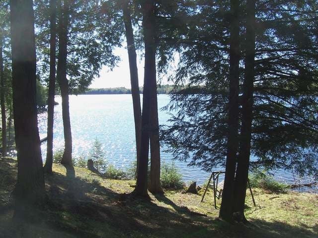 19180 Fish Hawk Lk Road Watersmeet, MI 49969 - Photo 14 of 20 Gallery Image 14