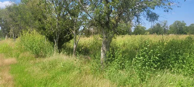 a view of lake with green space