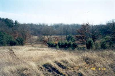 Primary Photo