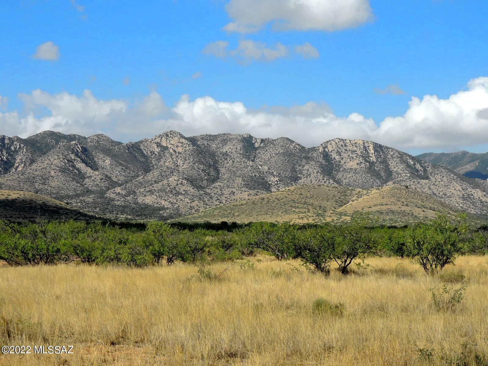 40 Cochise Stronghold Road Cochise, AZ 85606 - Photo 11 of 11