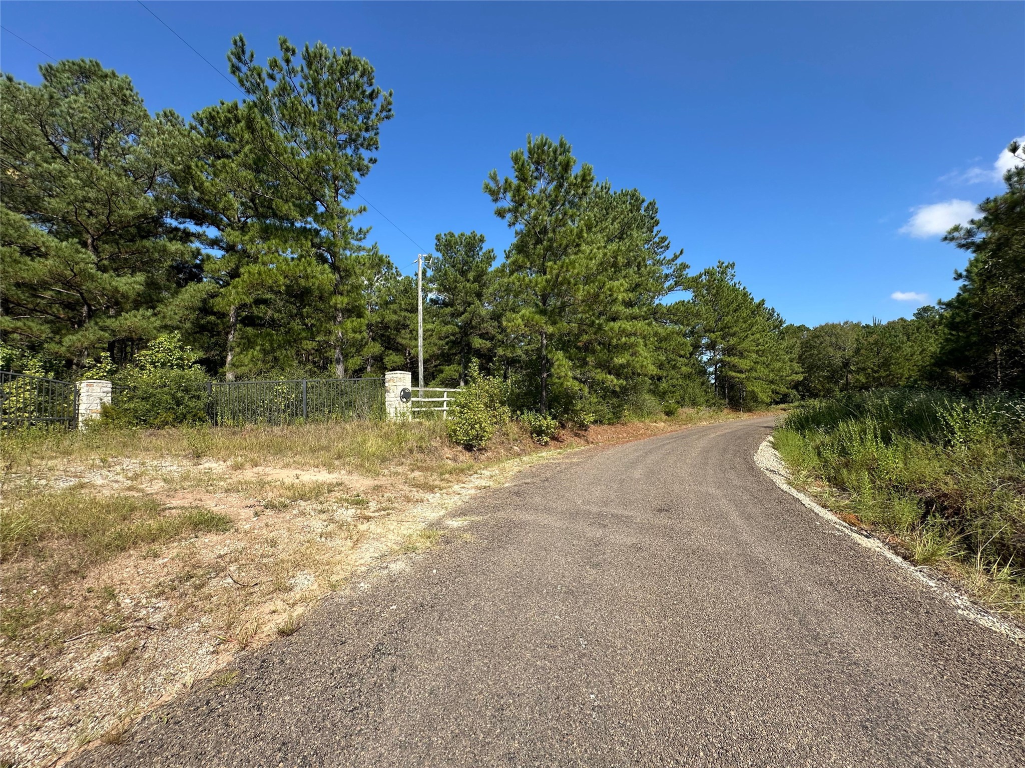 1034 Lloyd Bell Road Trinity, TX 75862 - Photo 6 of 12 Gallery Image 6