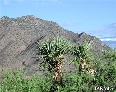 8.34-ac South Foothills Road San Simon, AZ 85632 - Photo 8 of 8