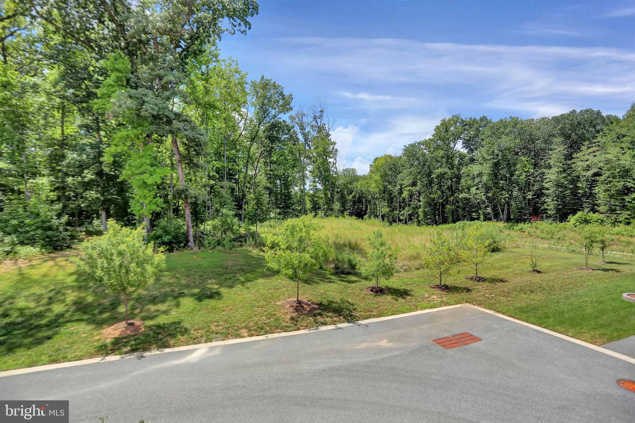 10000 Sandy Run Road Middle River, MD 21220 - Photo 40 of 45