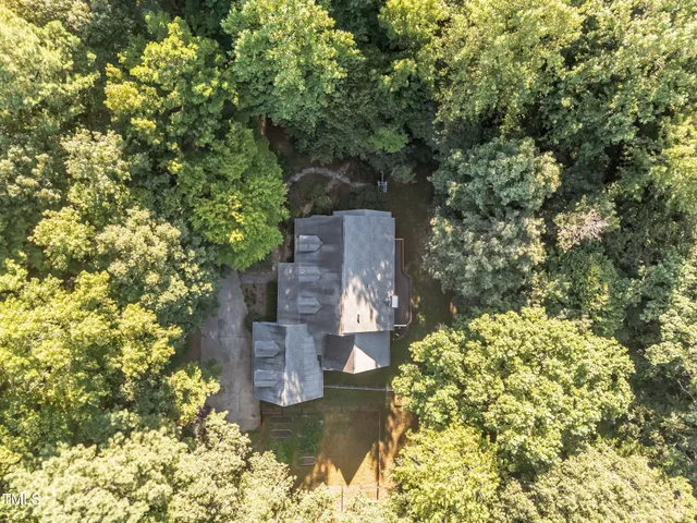 a view of a garden with plants