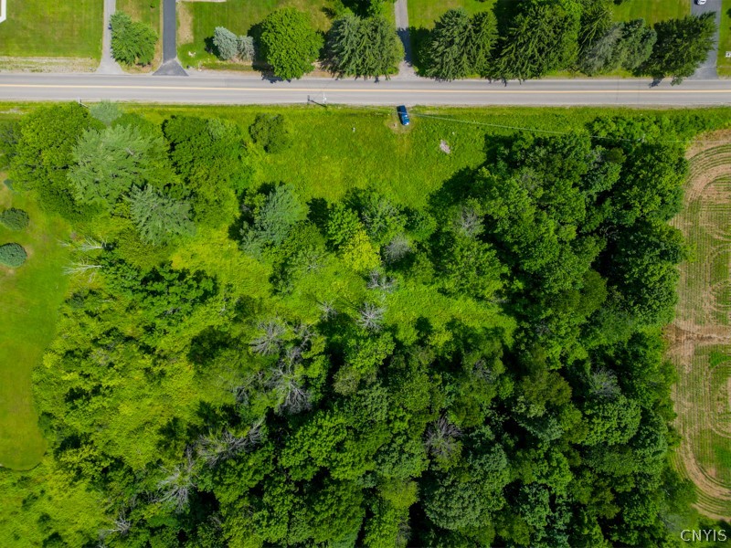 369 Windfall Road Utica, NY 13502 - Photo 8 of 18