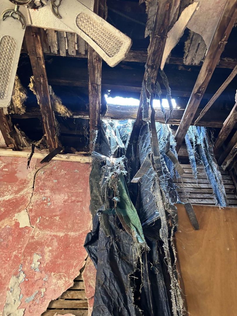 5951 South Elizabeth Street Chicago, IL 60636 - Photo 17 of 19 a view of an outdoor space