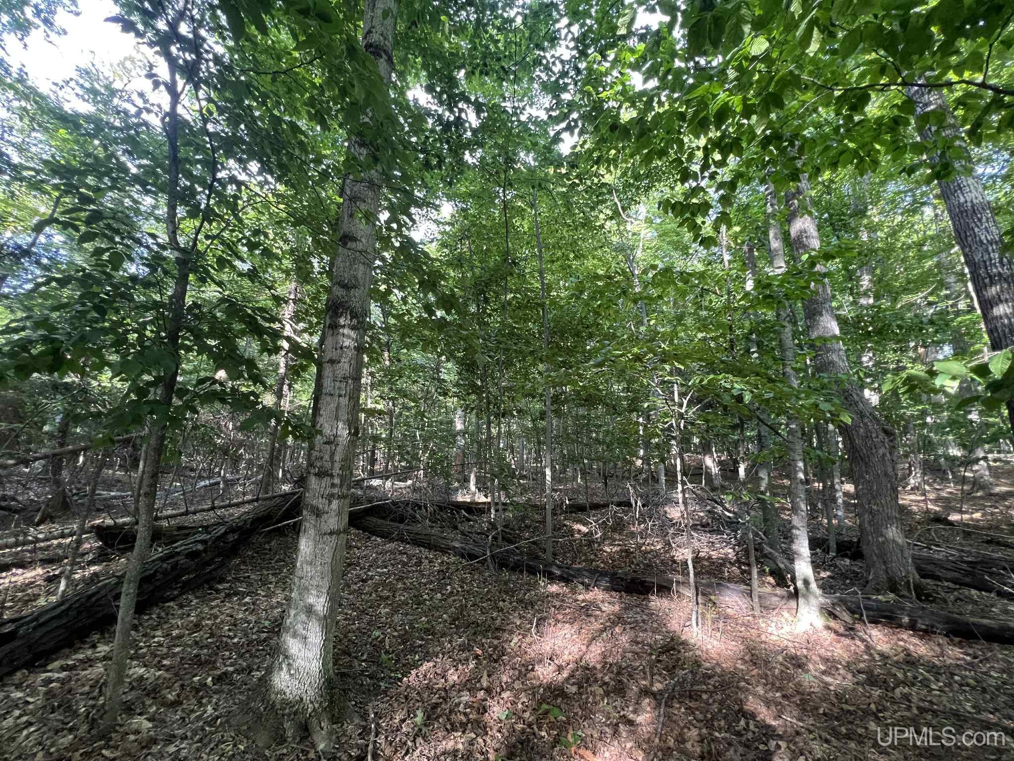 Tbd II Road Garden, MI 49835 - Photo 26 of 42