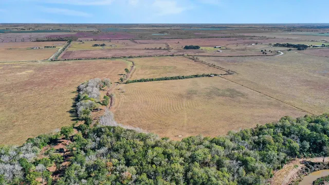 a view of a dry yard with trees in the background