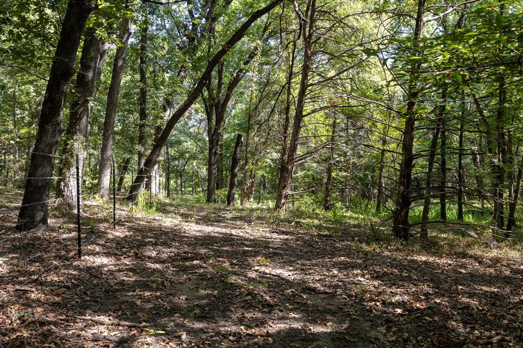 Tbd Richards Road Sadler, TX 76264 - Photo 12 of 12 Gallery Image 12