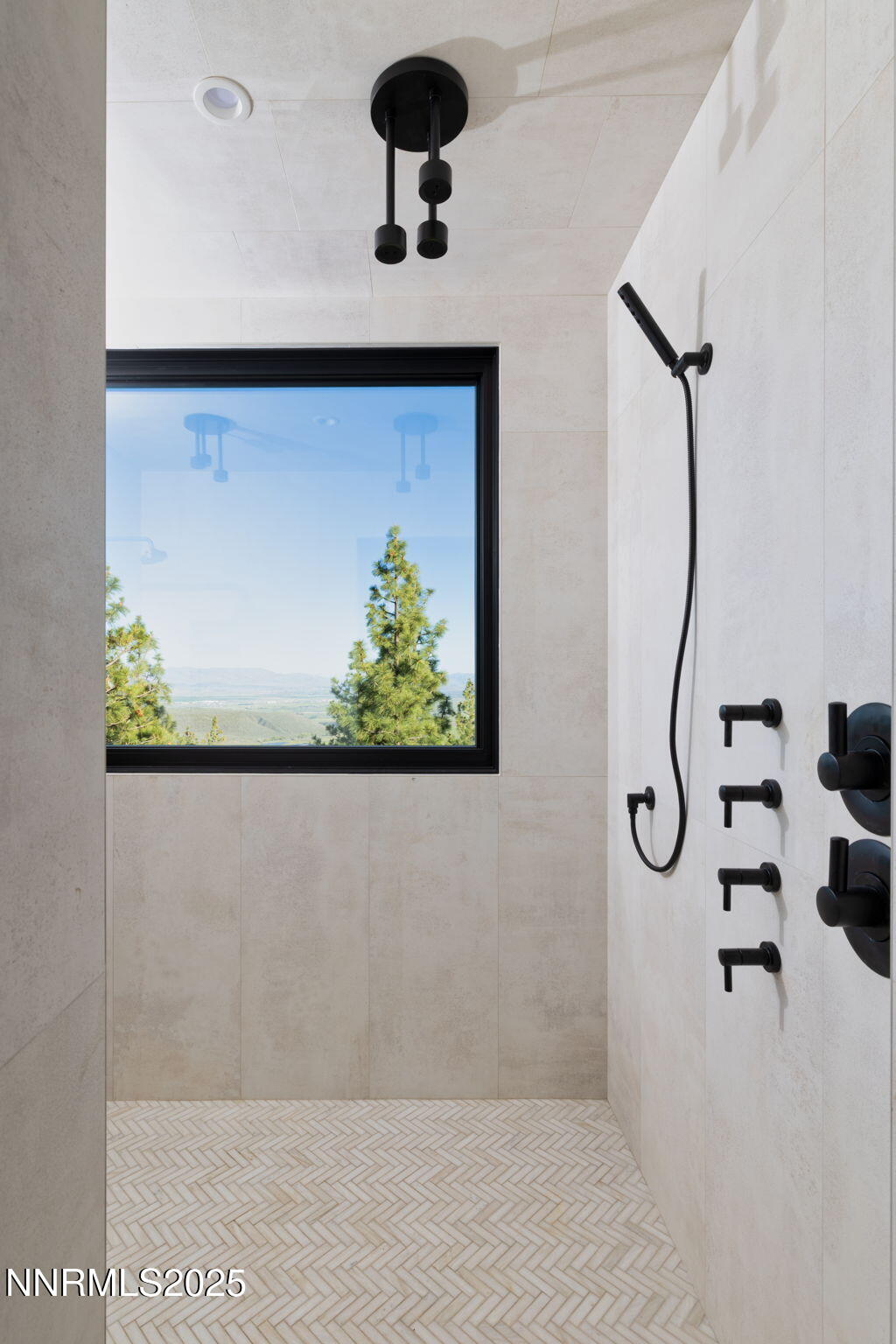 200 Overlook Court Carson City, NV 89705 - Photo 25 of 40 Deluxe Shower