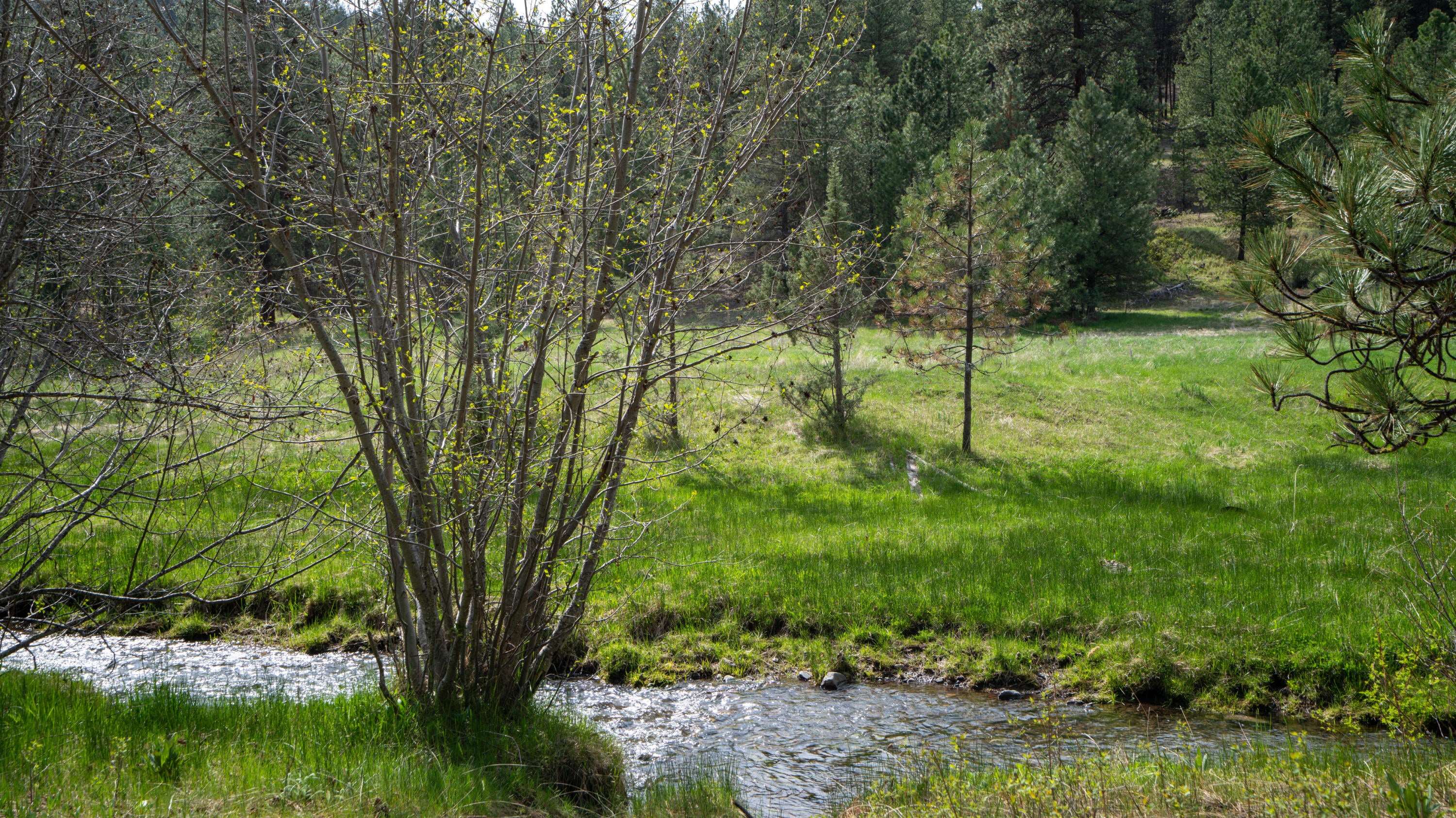 Keeney Fork Rd Prairie Prairie City, OR 97869 - Photo 57 of 61 DSC00882