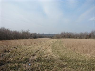 2595 High Bridge Road Wilmore, KY 40390 - Photo 33 of 39 Another clearing,..by second barn,..whic