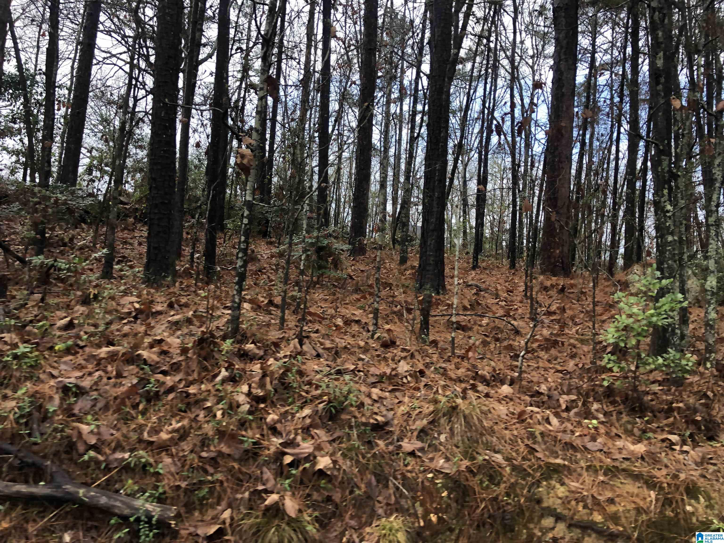 0 Autumn Ridge Trail, Unit 26 Pell City, AL 35128 - Photo 26 of 31