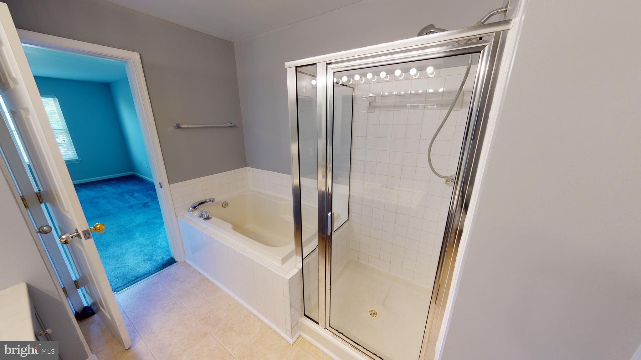 310 Roff Point Drive Odenton, MD 21113 - Photo 22 of 30 Master bath with separate shower and soaking tub