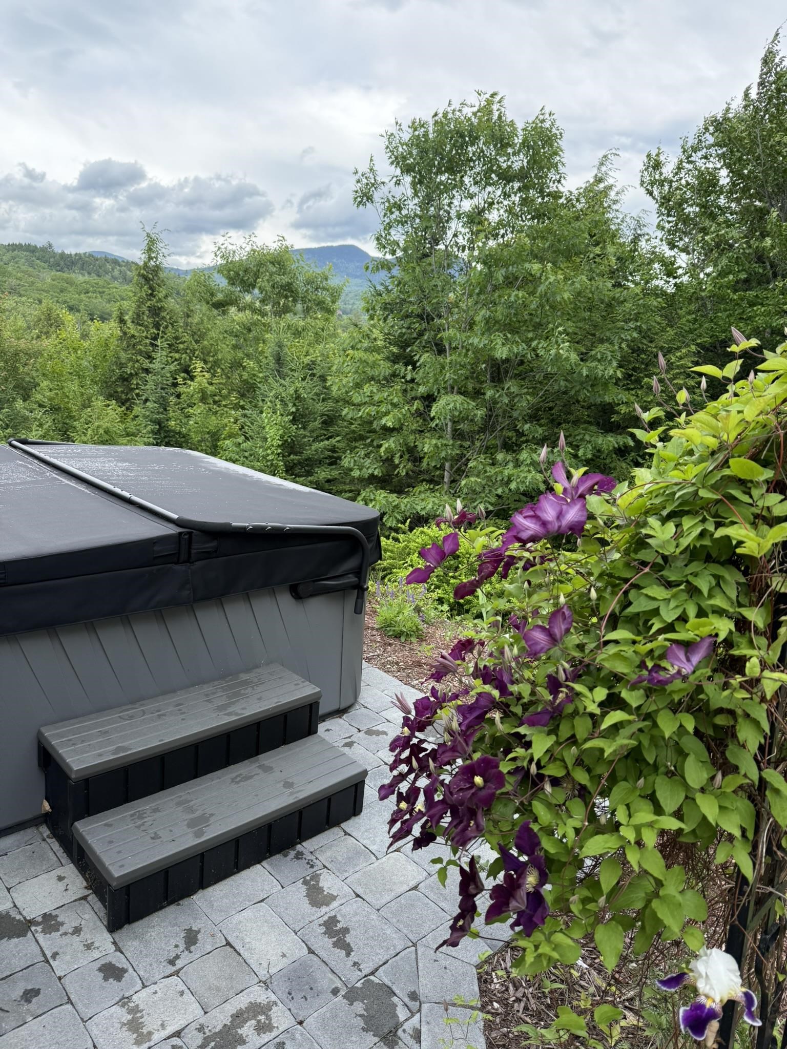 29 Hemlock Hill Road Jackson, NH 03846 - Photo 52 of 59 Gallery Image 52