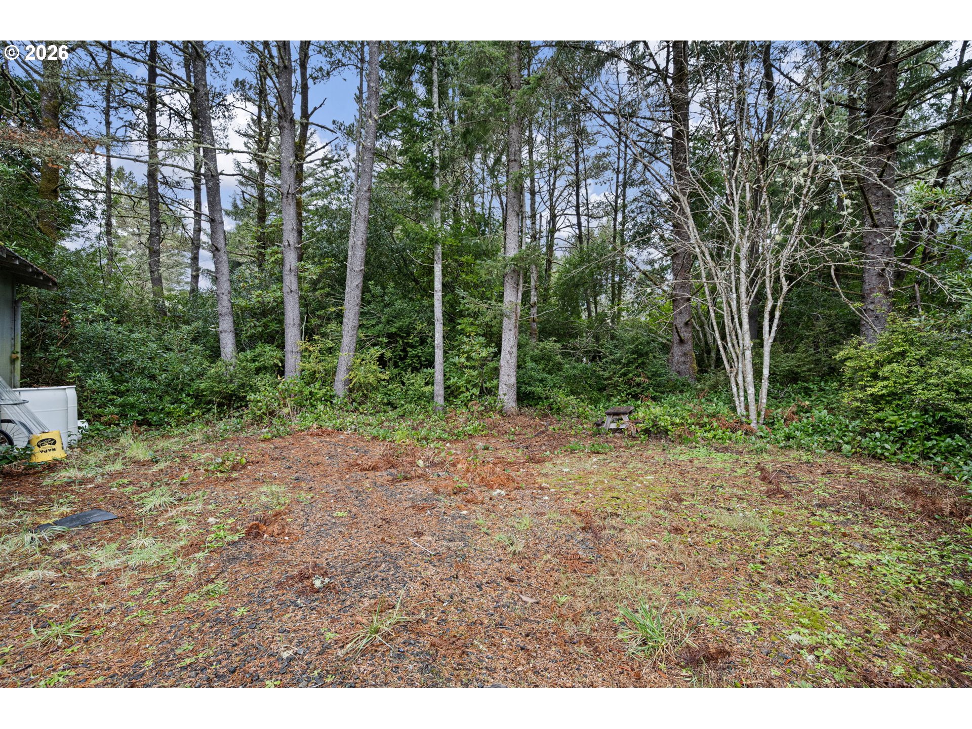 4826 Rhododendron Loop Florence, OR 97439 - Photo 31 of 41 a view of a yard with plants and trees