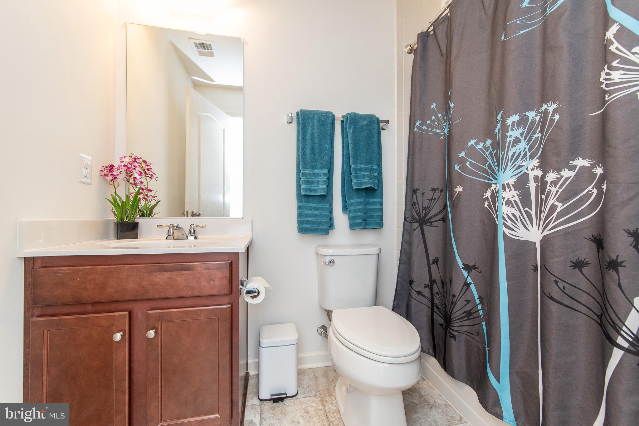 10529 Braddock Run Road Baltimore, MD 21220 - Photo 47 of 51 Bath Lower