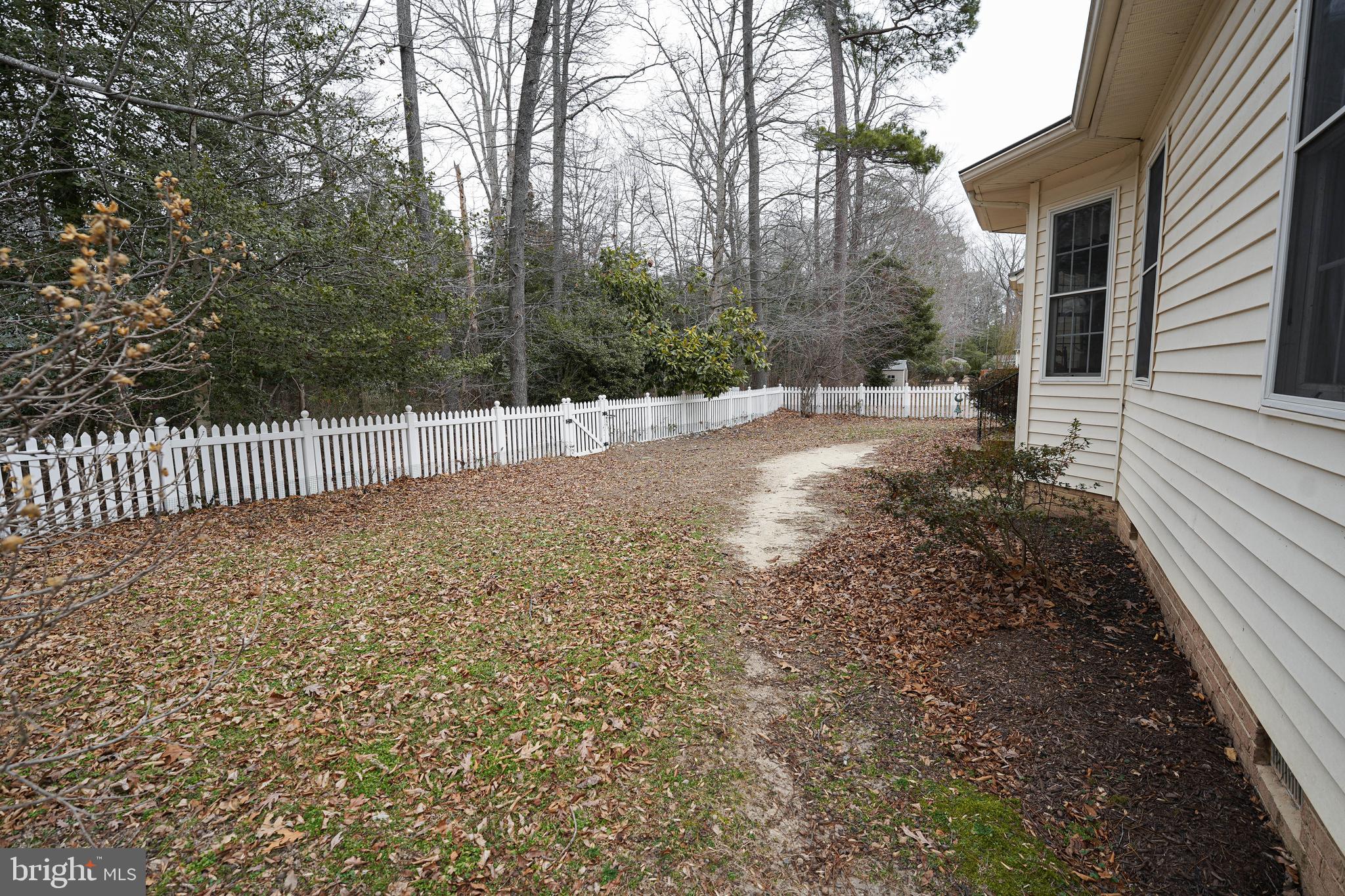 6155 Tarry Town Road Salisbury, MD 21801 - Photo 6 of 36 rear fenced yard - backing to trees