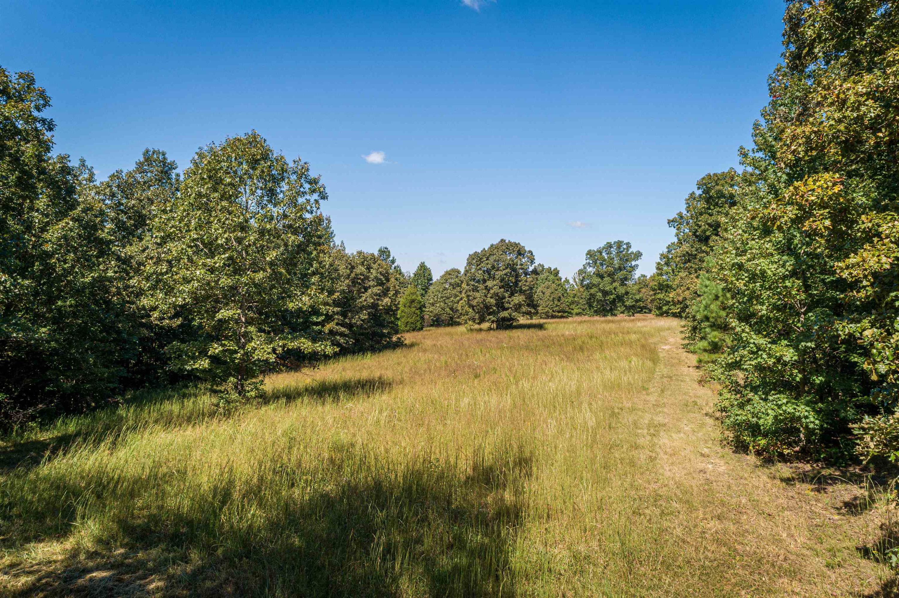 3190 Hardin Graveyard Road Adamsville, TN 38310 - Photo 11 of 16 Photo 11