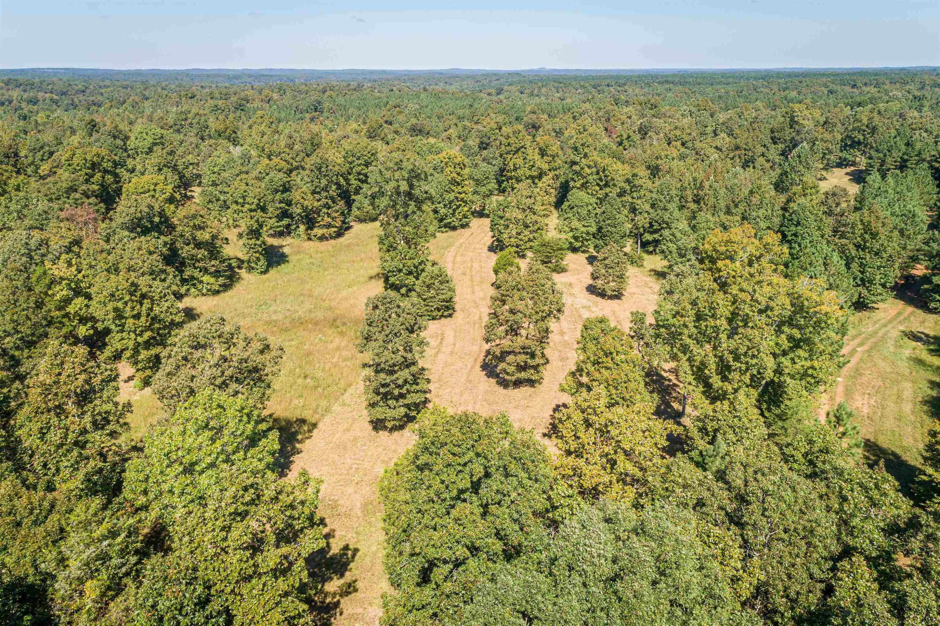 3190 Hardin Graveyard Road Adamsville, TN 38310 - Photo 12 of 16 Photo 12
