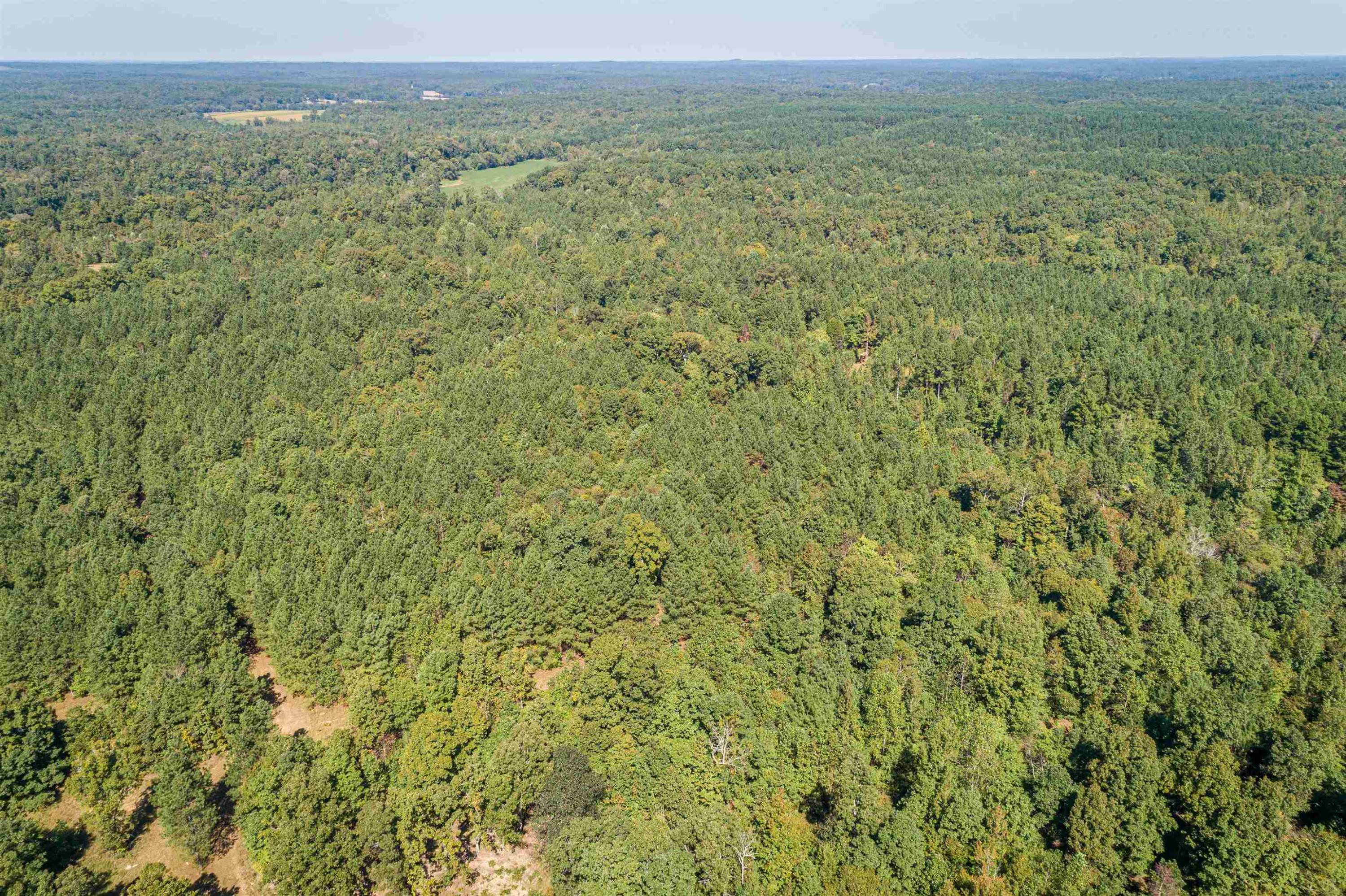 3190 Hardin Graveyard Road Adamsville, TN 38310 - Photo 14 of 16 Photo 14