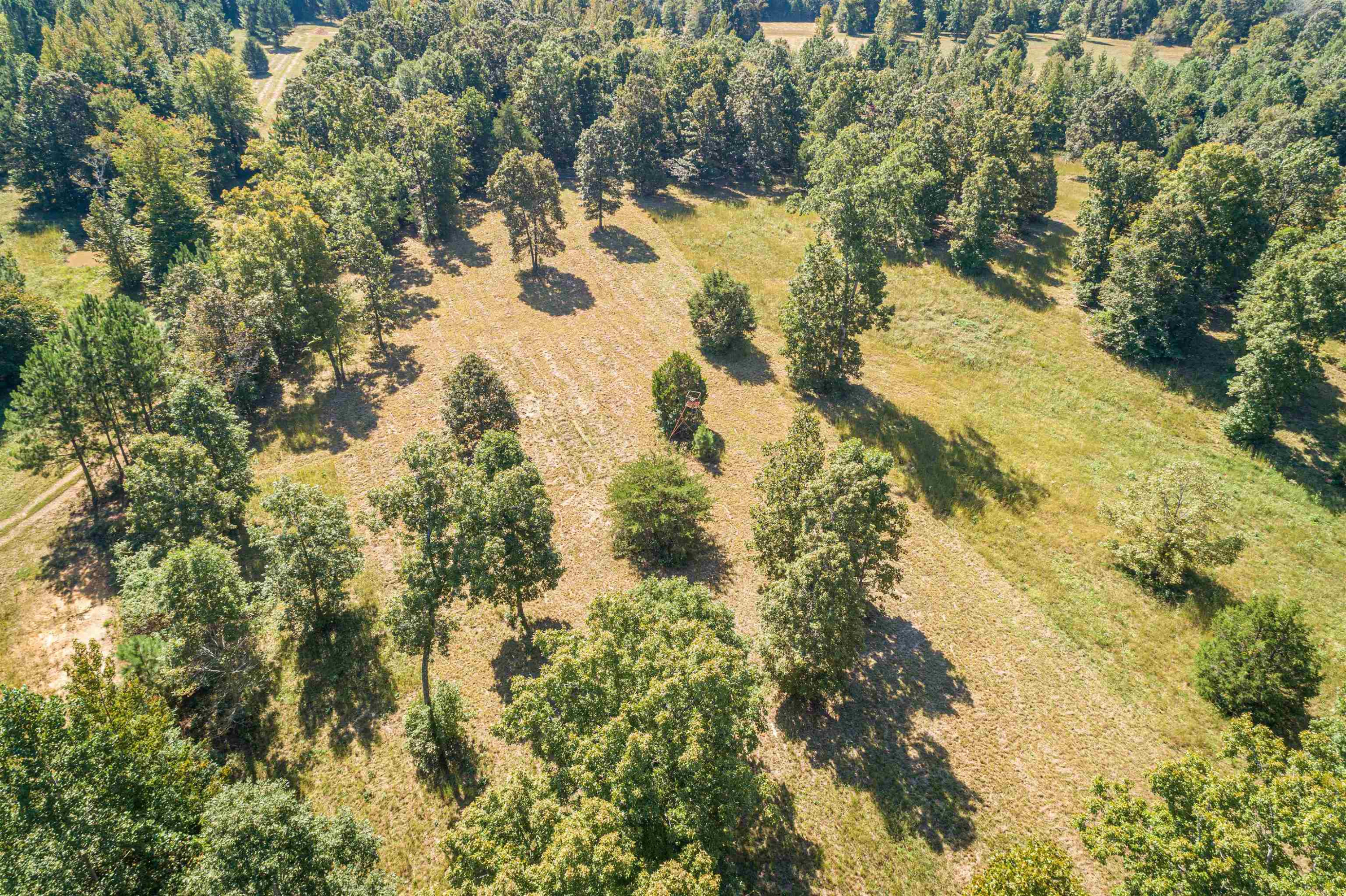 3190 Hardin Graveyard Road Adamsville, TN 38310 - Photo 15 of 16 Photo 15
