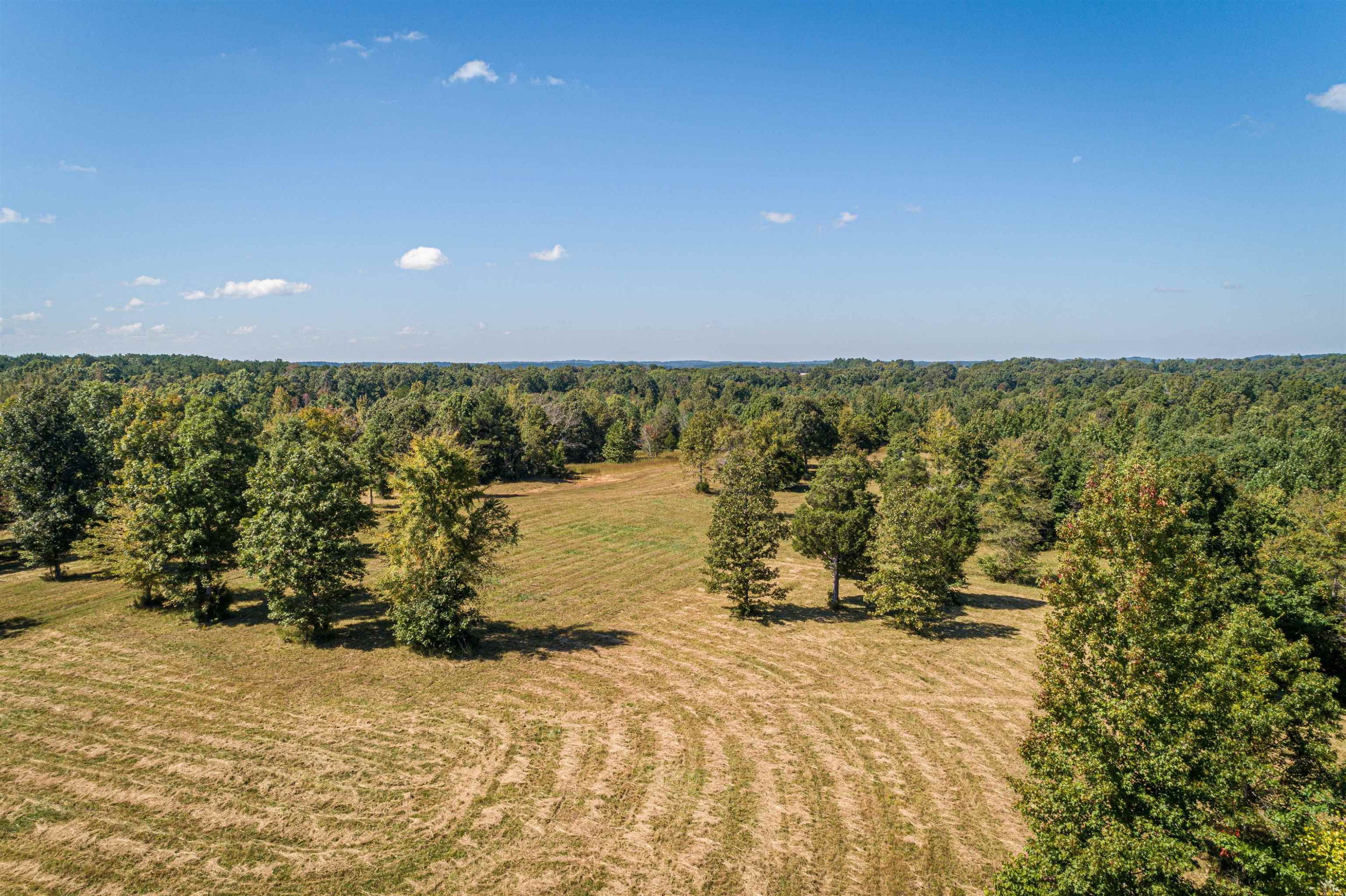 3190 Hardin Graveyard Road Adamsville, TN 38310 - Photo 10 of 16 Photo 10