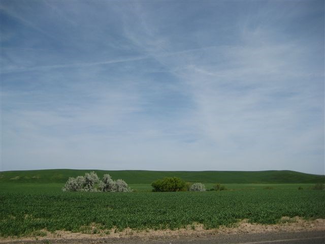 13668 Stateline Road Touchet, WA 99360 - Photo 1 of 1