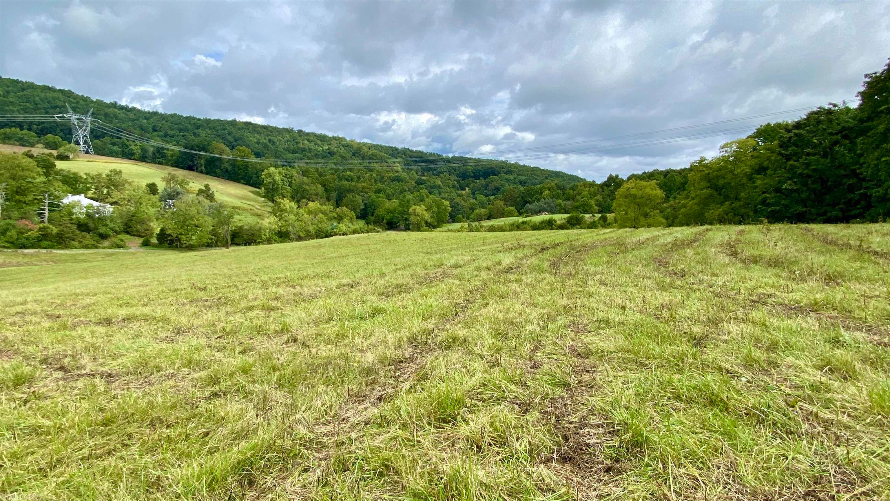 Tbd Castleton Road Max Meadows, VA 24360 - Photo 14 of 37 Gallery Image 14