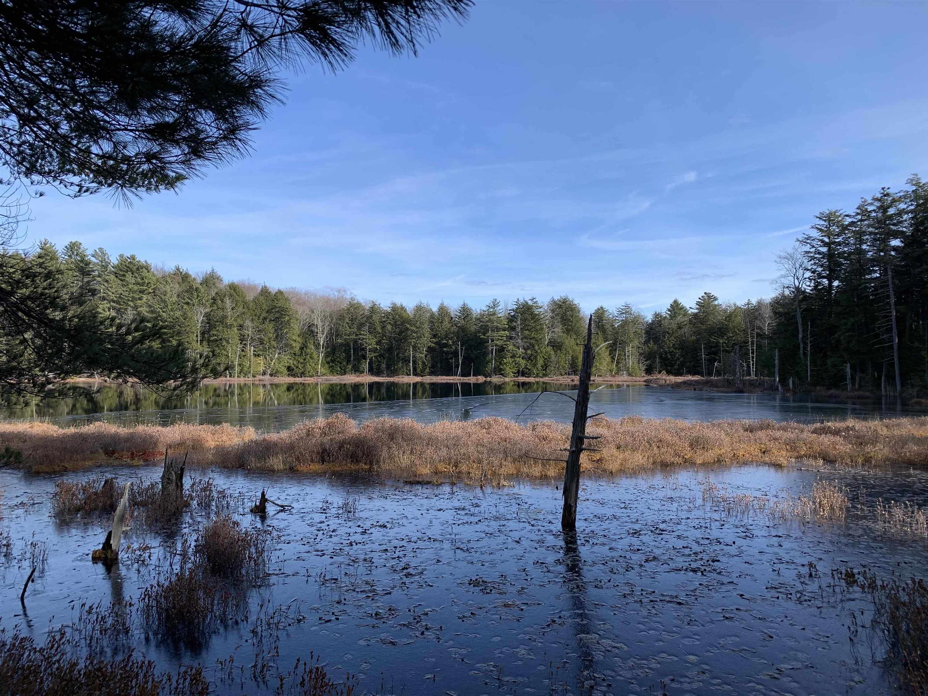 L2 A Alstead Center Road, Unit 2A Alstead, NH 03602 - Photo 25 of 31