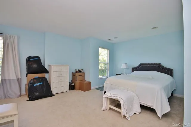 a bedroom with a bed and a a sink