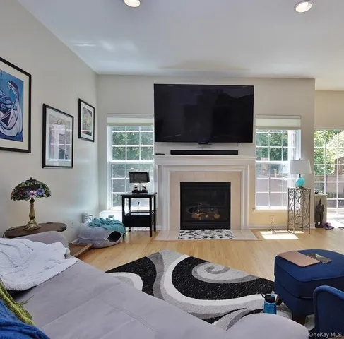 a living room with furniture a flat screen tv and a fireplace