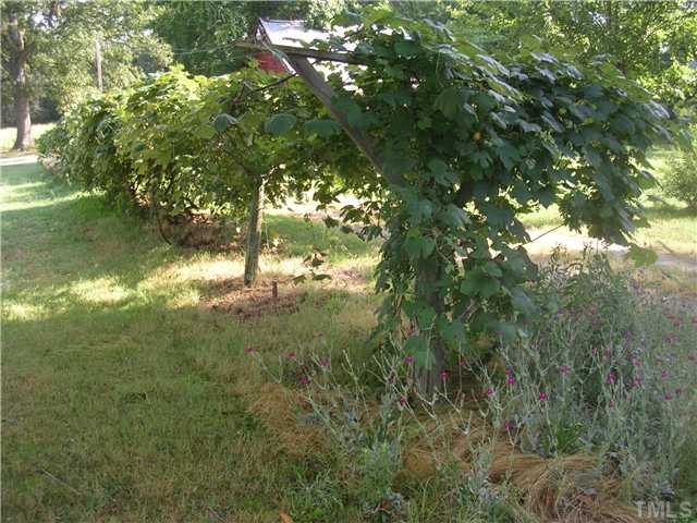 301 Rolling Hills Road Roxboro, NC 27574 - Photo 14 of 16 a view of a yard with a tree