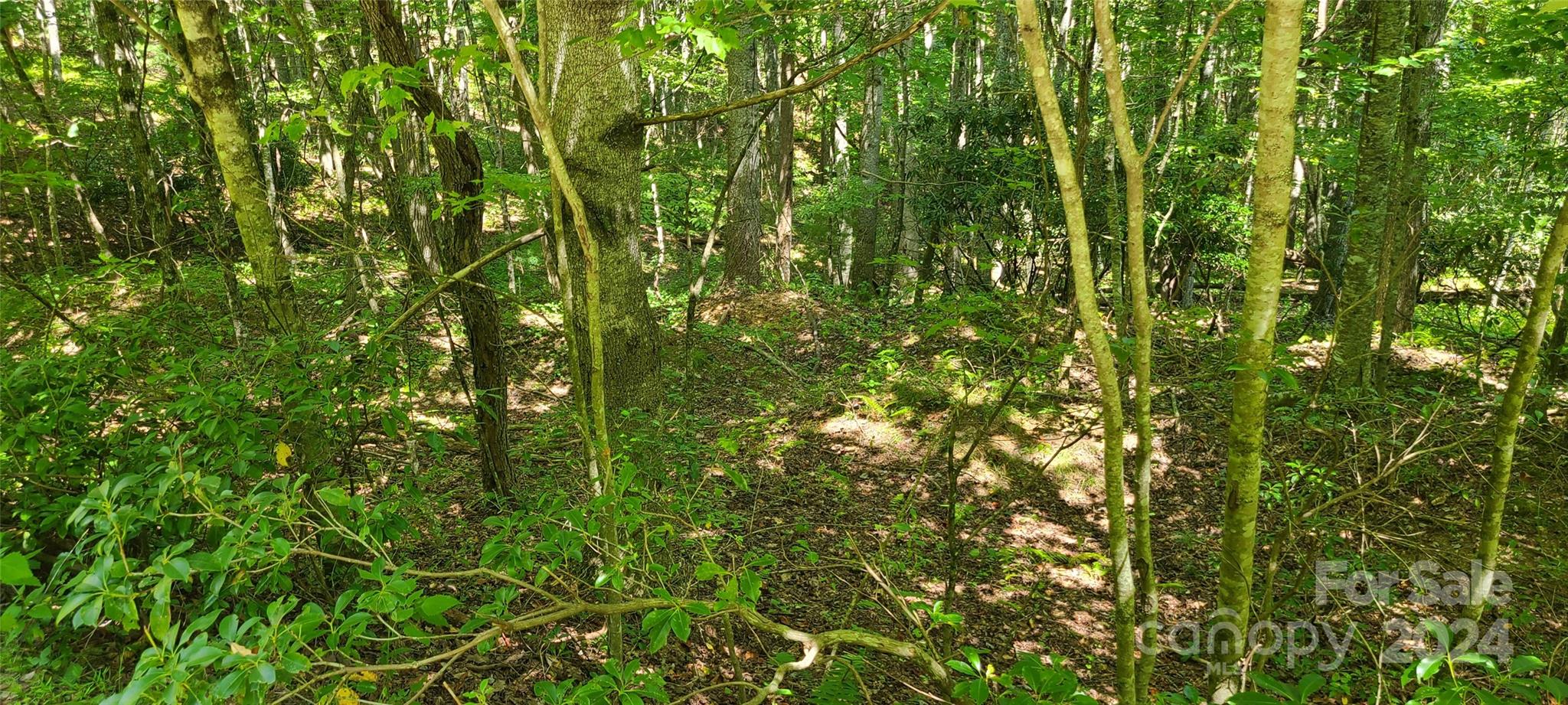 0 Marshall's Way Jefferson, NC 28640 - Photo 2 of 3 a view of a lush green forest