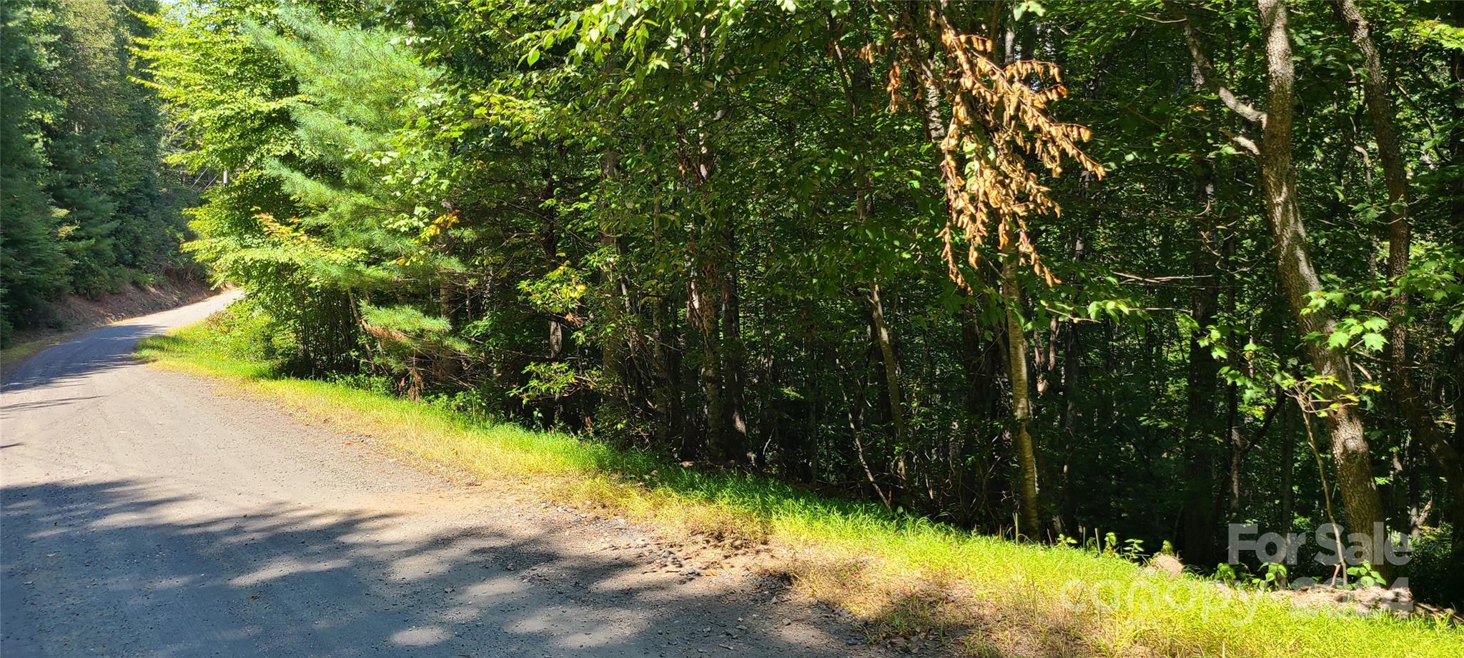 0 Marshall's Way Jefferson, NC 28640 - Photo 3 of 3 a view of a yard