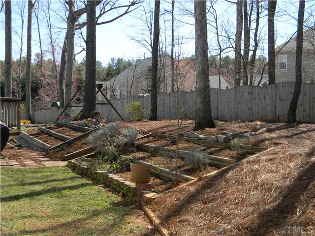 8617 Benzinger Drive Raleigh, NC 27613 - Photo 22 of 25 Back Yard