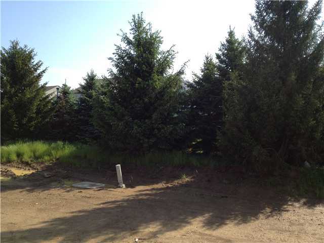 6150 Glade Run Road, Unit LOT 20 Hilliard, OH 43026 - Photo 3 of 5