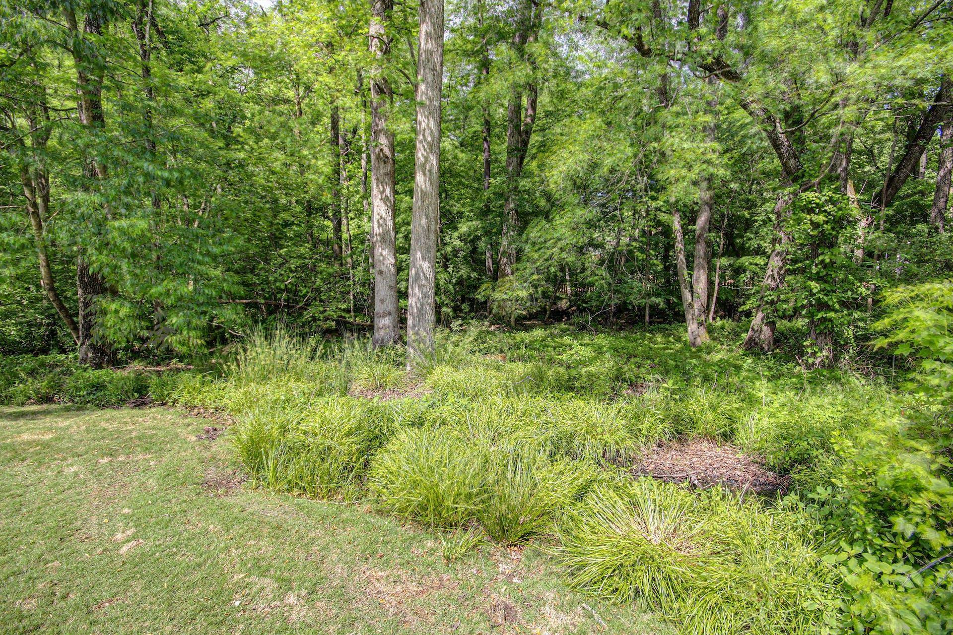8121 Greywinds Drive Raleigh, NC 27615 - Photo 23 of 25 Photo 23