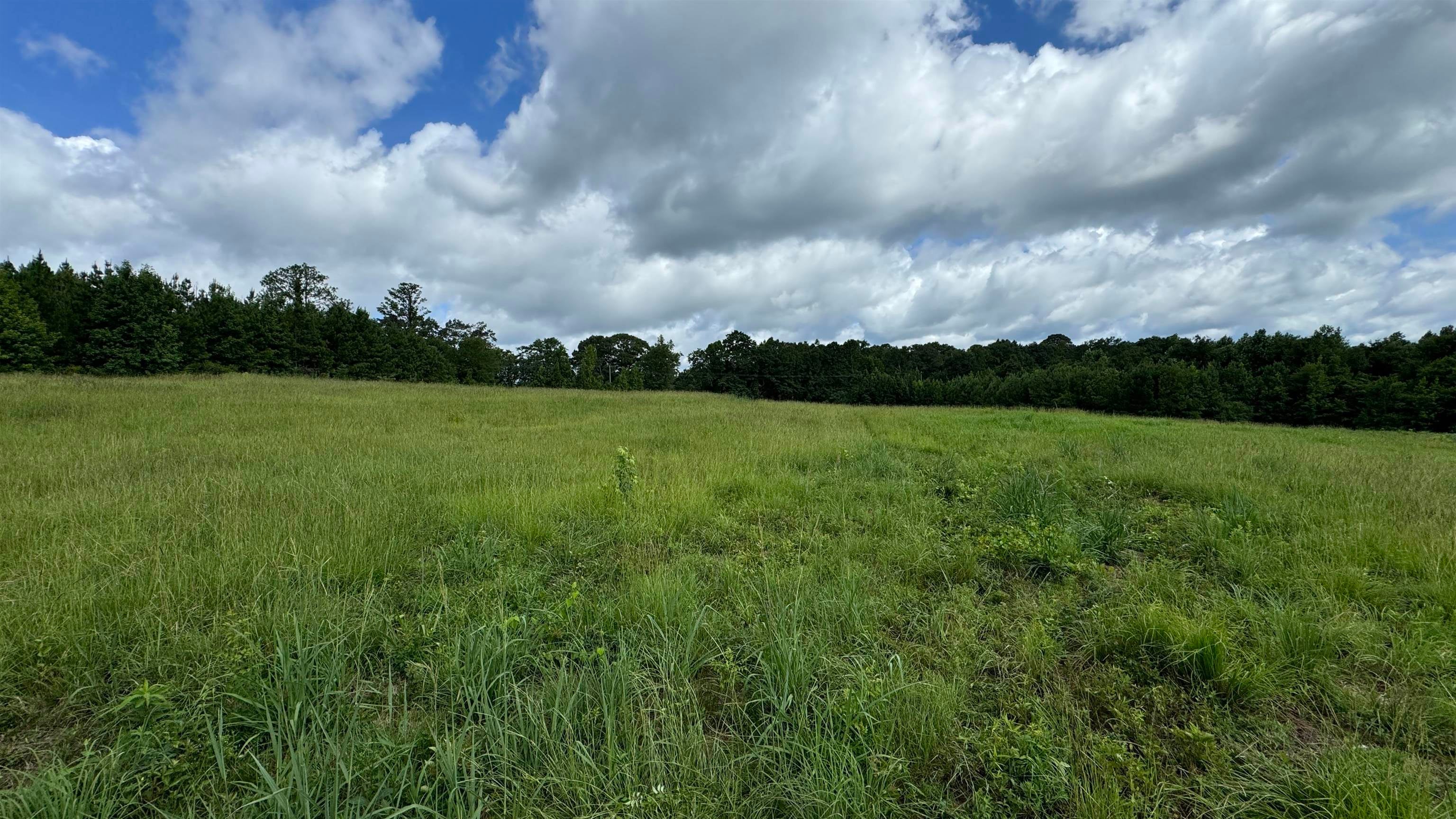0 Rhodes Station McKenzie, AL 36456 - Photo 17 of 22 Gallery Image 17