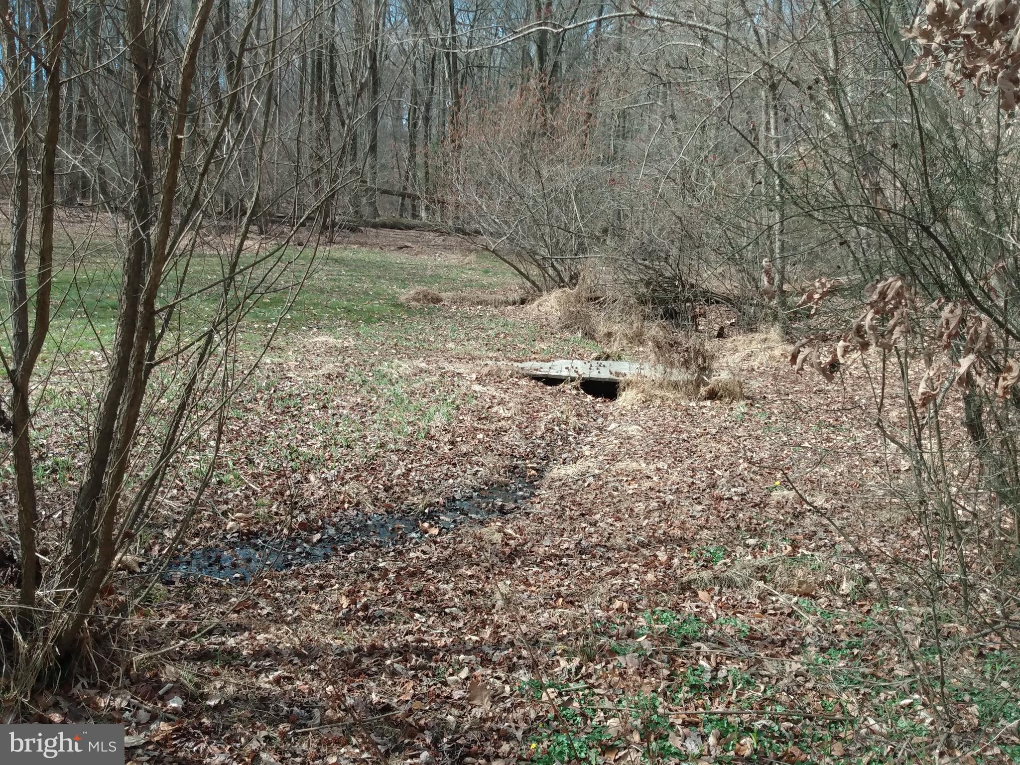 83 Oldfield Point Road Elkton, MD 21921 - Photo 49 of 51 Creek
