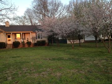 615 McCrary Road Lebanon, TN 37090 - Photo 11 of 13 front of home
